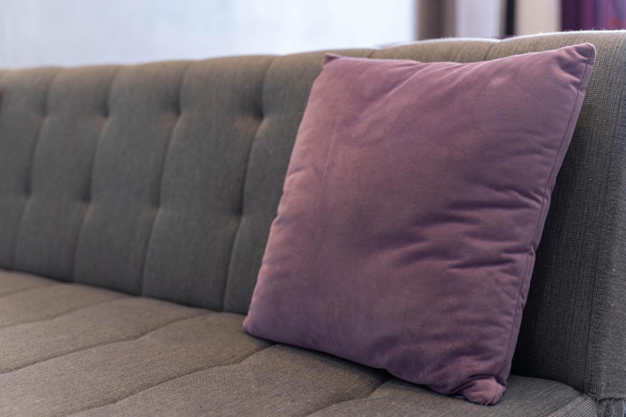 Appartement Purple House *